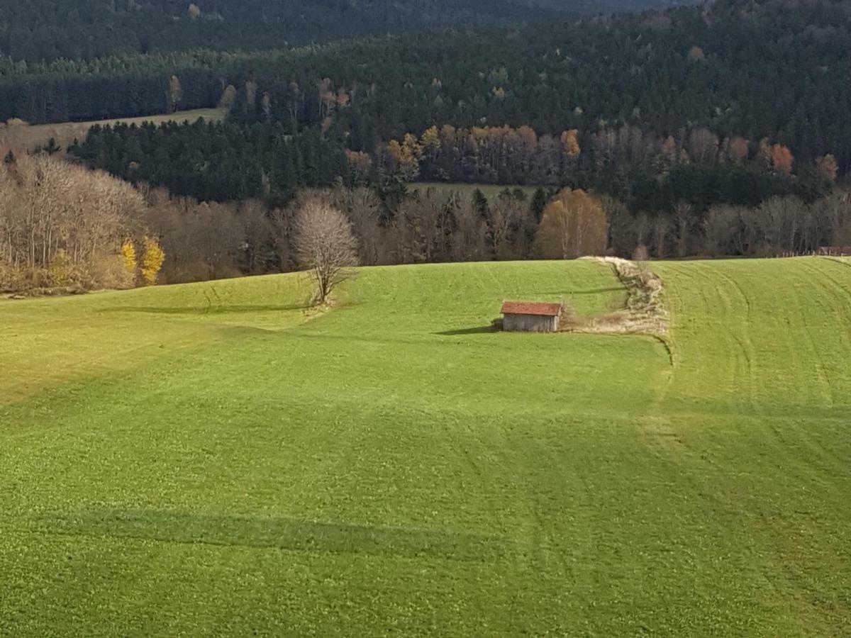 Gut Steinhuegel Bischofsmais Exterior foto